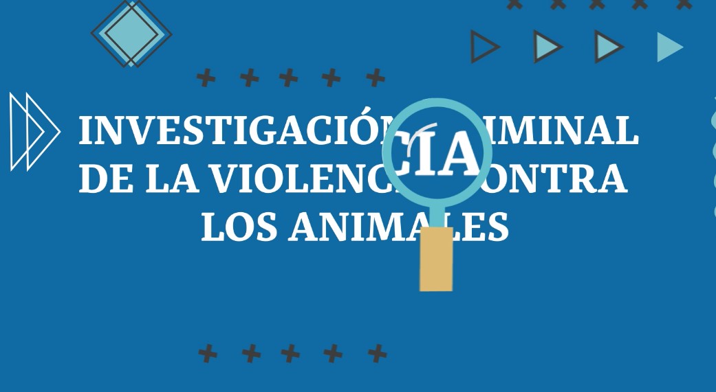 Producción Audiovisual 